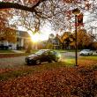 伯洛伊特学院校园的学院街希腊房屋外的秋天色彩.